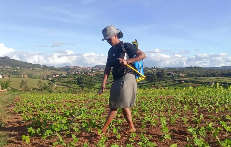 Une agricultrice traite son champ de haricots avec un pulvérisateur