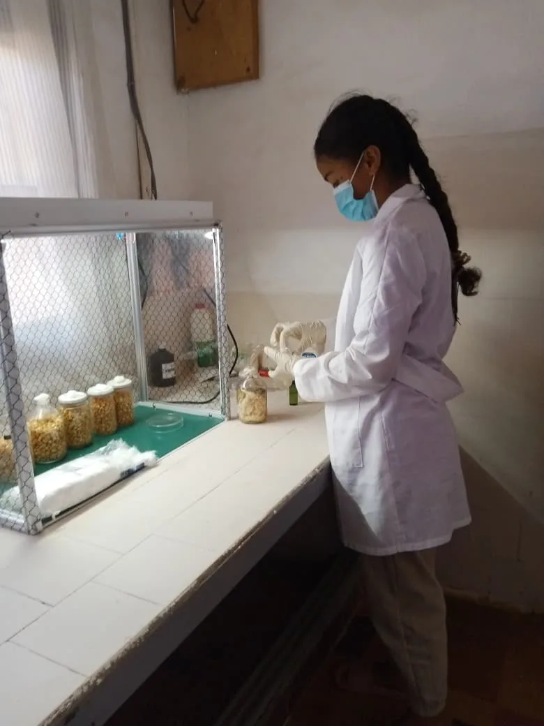 Une étudiante en blouse blanche au travail dans un laboratoire