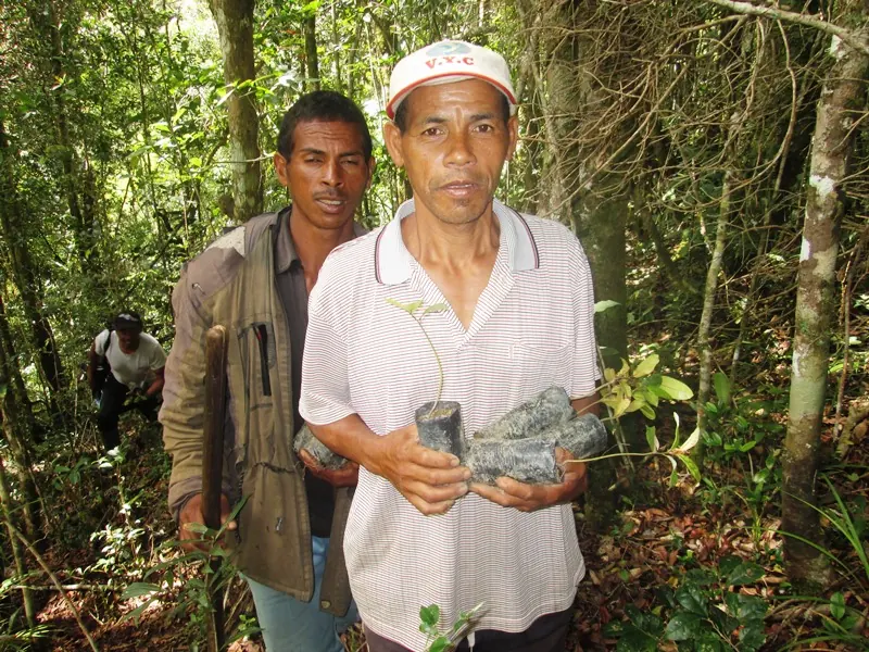 Deux participants tiennent des jeunes plants