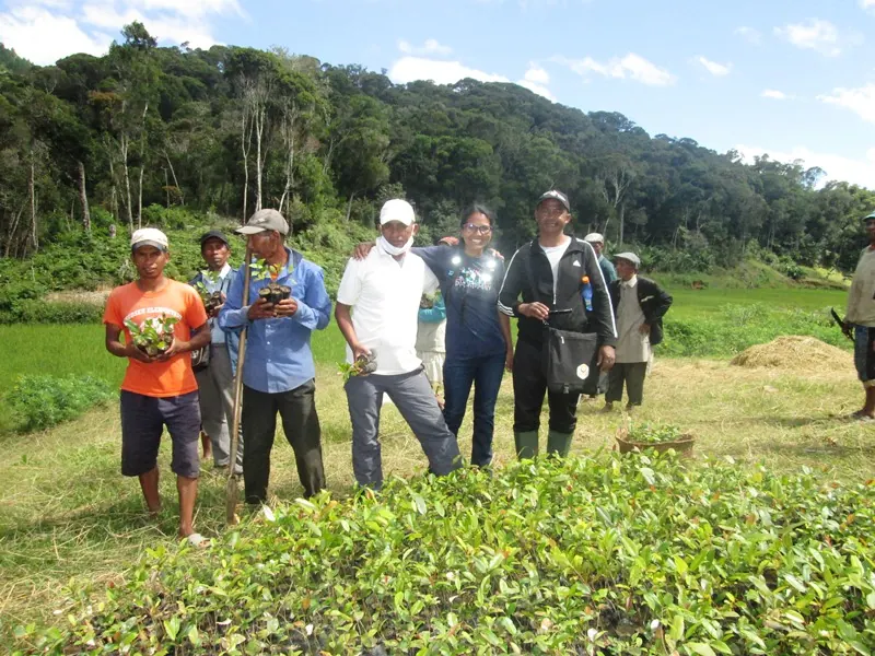 Un groupe de participants devant les plants à mettre en terre