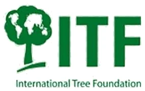 International Tree Foundation