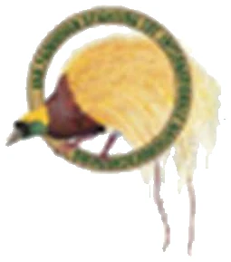 VTHF